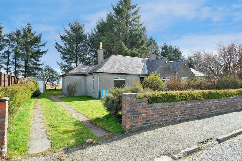 Walton Road 4 21 1384